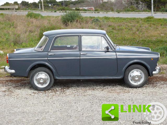 FIAT 1100 usata 6