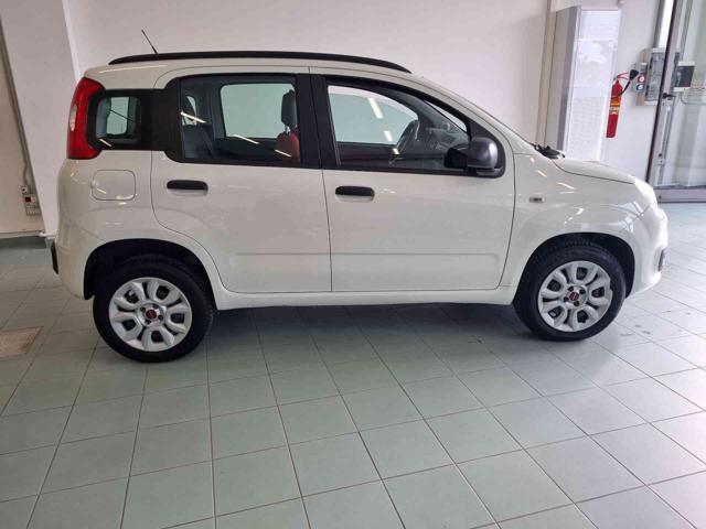 FIAT Panda usata, con Fendinebbia