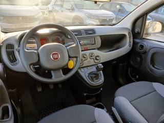 FIAT Panda usata, con Antifurto