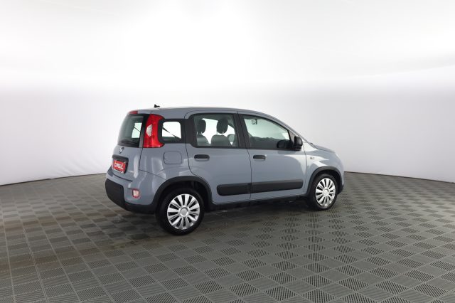 FIAT Panda usata 2