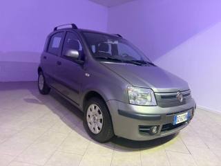FIAT Panda usata 1