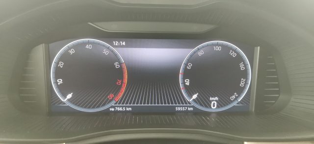 SKODA Scala usata, con Cronologia tagliandi