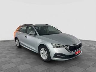 SKODA Octavia usata 6