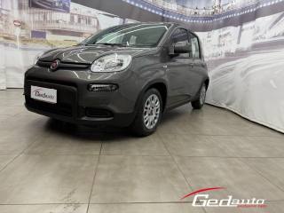 FIAT Panda usata, con Airbag Passeggero