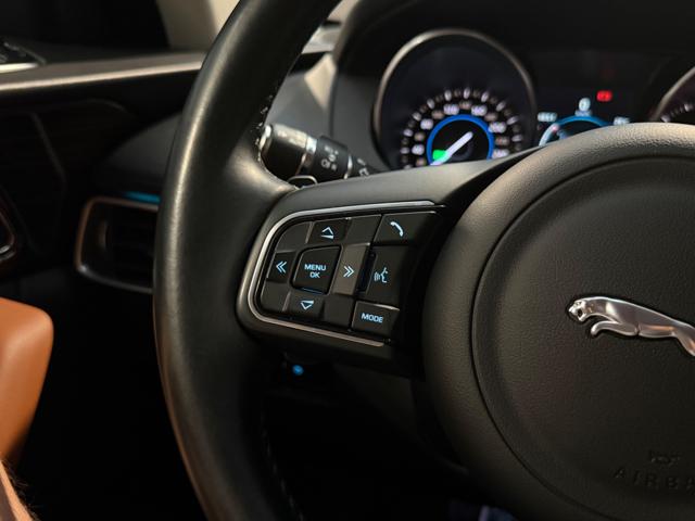 JAGUAR F-Pace usata, con Servosterzo