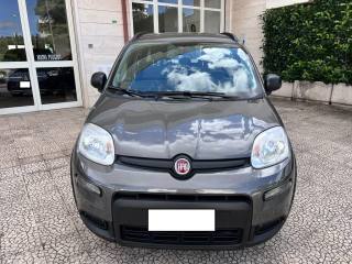 FIAT Panda usata 5
