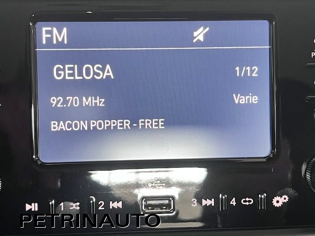 FIAT Panda usata, con Autoradio digitale