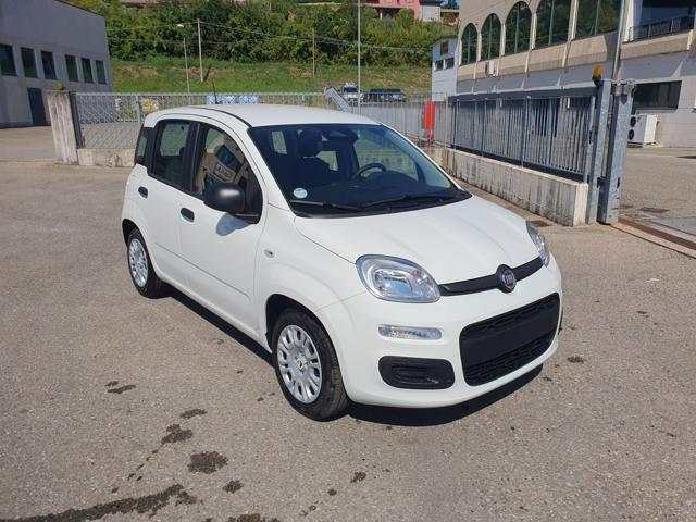 FIAT Panda usata, con Antifurto