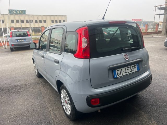 FIAT Panda usata 2