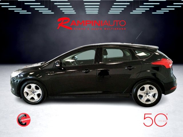 FORD Focus usata 11