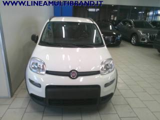 FIAT Panda usata, con Controllo trazione