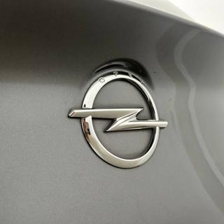 OPEL Grandland X usata, con Fari direzionali