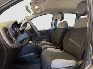 FIAT Panda usata 8