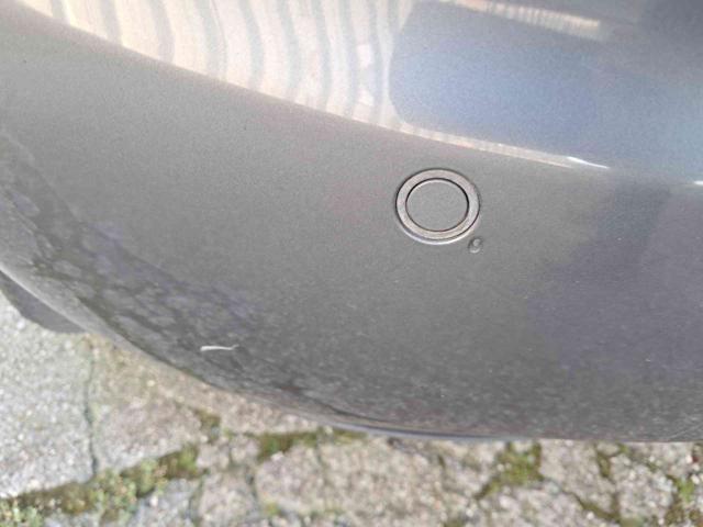 LANCIA MUSA usata 25