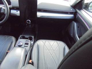 FORD Mustang Mach-E usata, con Frenata d