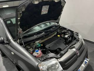 FIAT Panda usata, con Immobilizzatore elettronico