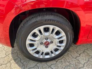 FIAT Panda usata, con Antifurto