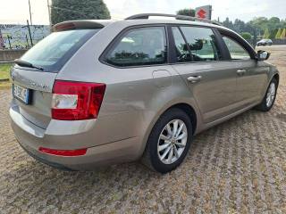 SKODA Octavia usata, con Airbag laterali