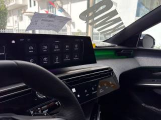 PEUGEOT 3008 usata, con Airbag testa