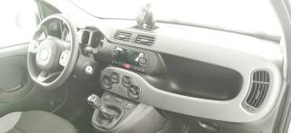FIAT Panda usata 48