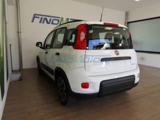 FIAT Panda usata, con USB