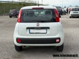FIAT Panda usata, con Immobilizzatore elettronico
