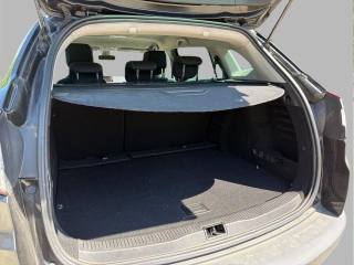 RENAULT Megane usata, con Fendinebbia