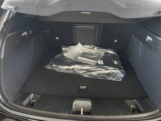 ALFA ROMEO Tonale usata, con Interni in pelle