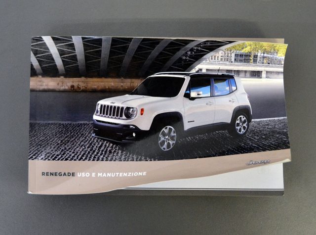 JEEP Renegade usata, con Controllo trazione