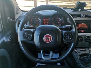 FIAT Panda usata, con Controllo trazione