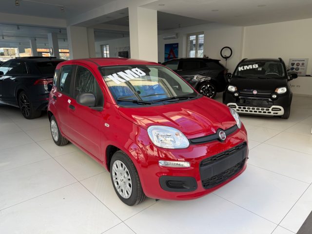 FIAT Panda usata, con Airbag Passeggero