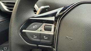 PEUGEOT 3008 usata, con Autoradio