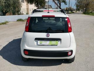 FIAT Panda usata, con Immobilizzatore elettronico