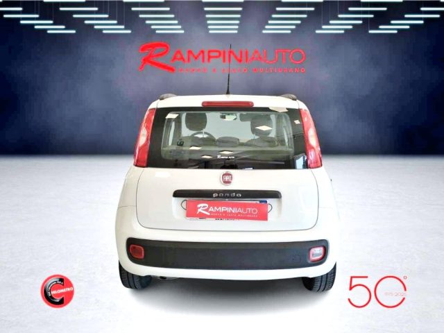 FIAT Panda usata 7
