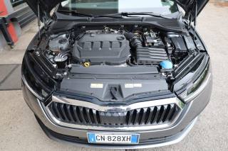 SKODA Octavia usata 172