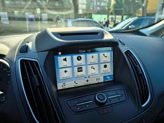 FORD C-Max usata, con Cronologia tagliandi