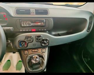 FIAT New Panda usata, con Servosterzo