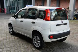 FIAT Panda usata, con Antifurto