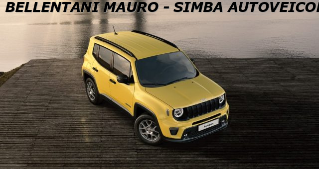 JEEP Renegade usata, con Cerchi in lega