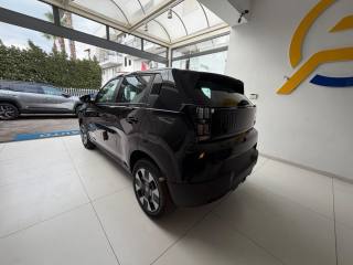 FIAT Grande Panda usata, con Cronologia tagliandi