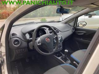 FIAT Punto usata, con Fendinebbia