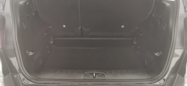 FIAT 500L usata 14