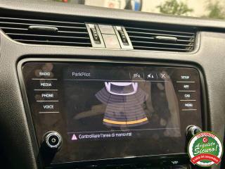 SKODA Octavia usata, con Servosterzo