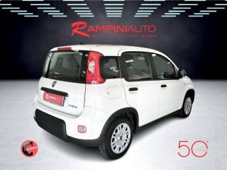 FIAT Panda usata 7