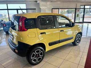 FIAT Panda usata, con Alzacristalli elettrici
