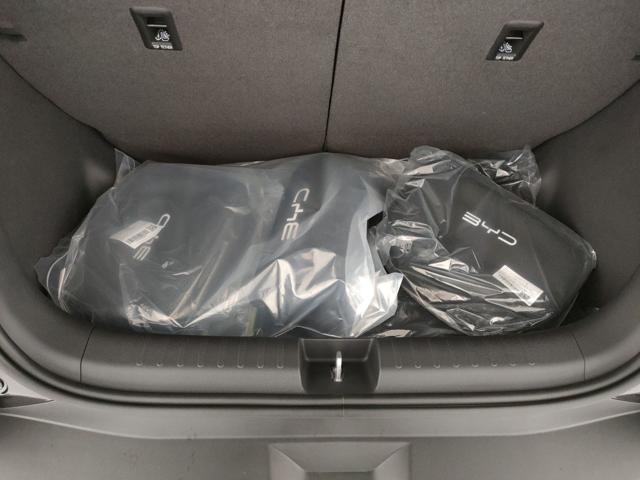 BYD Dolphin usata, con Servosterzo