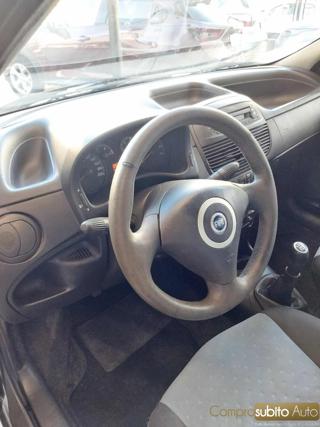 FIAT Punto usata 19