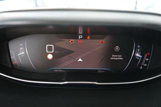 PEUGEOT 3008 usata 55