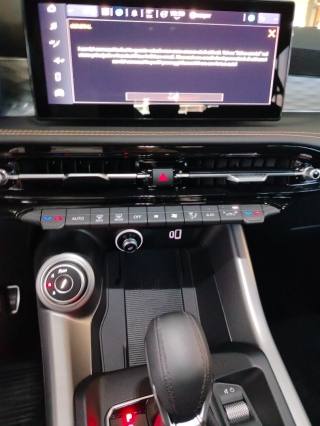 ALFA ROMEO Tonale usata 33