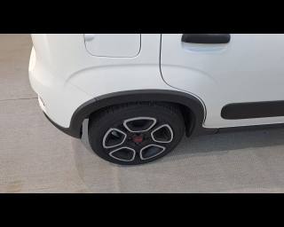 FIAT New Panda usata 21
